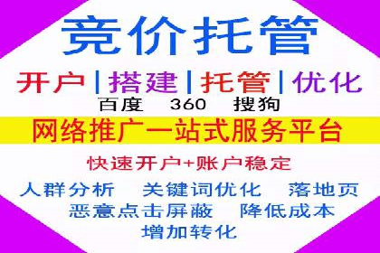 SEM托管服务，成功案例深度分析